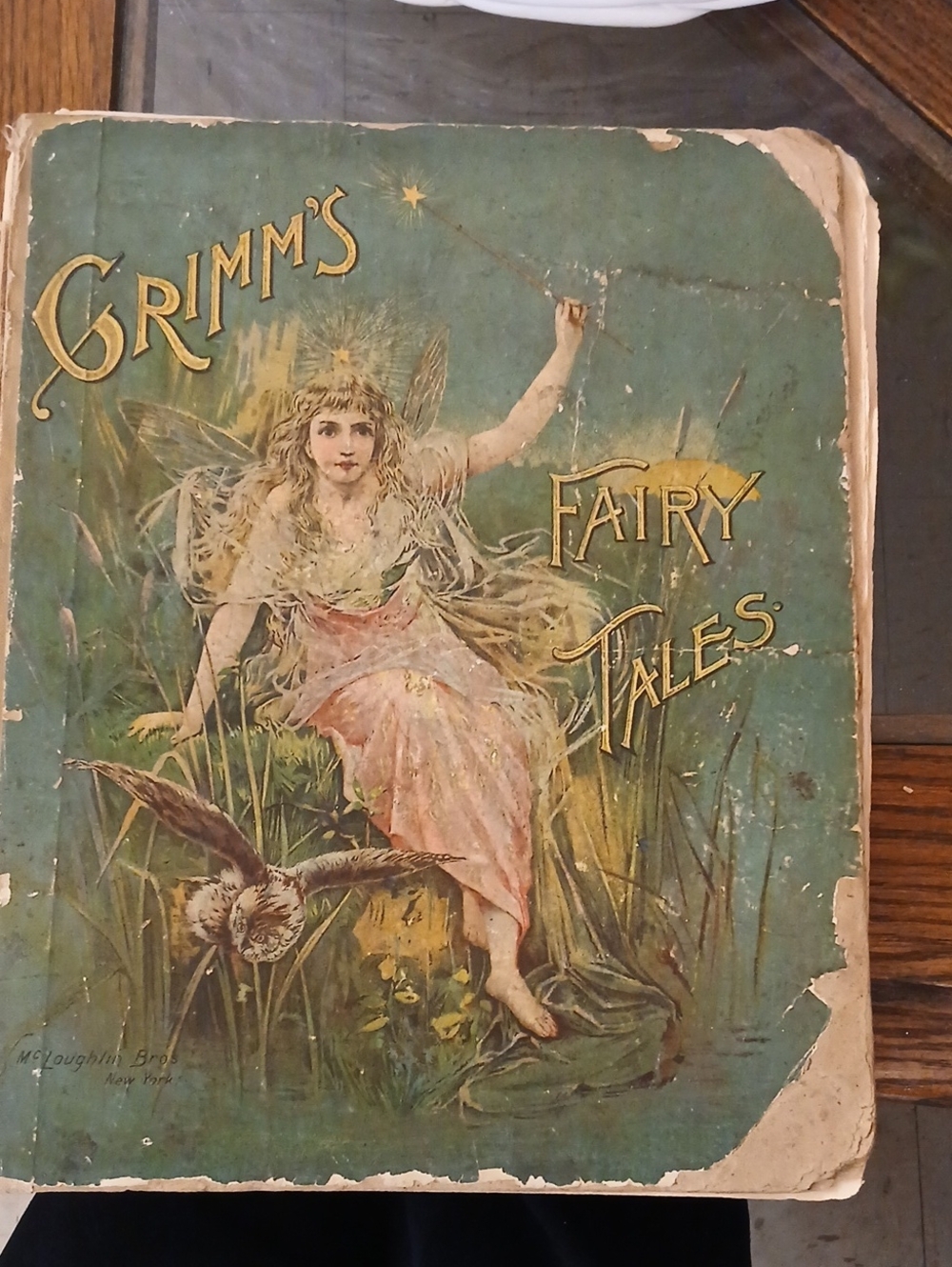 Grimm's Fairy Tales Vintage Illustrated Book Cover - Green & Pink